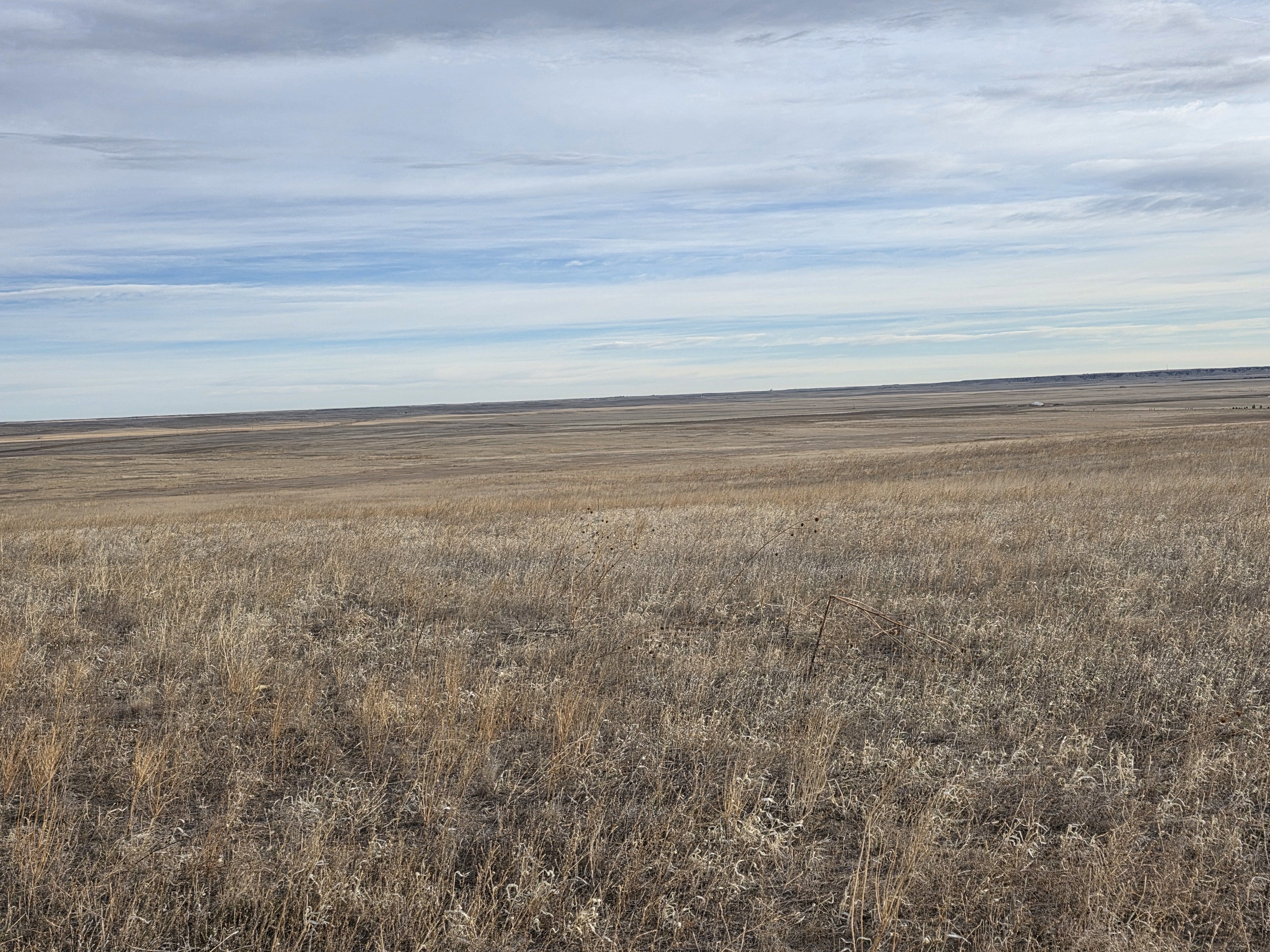 Listing Photo: Ground 9